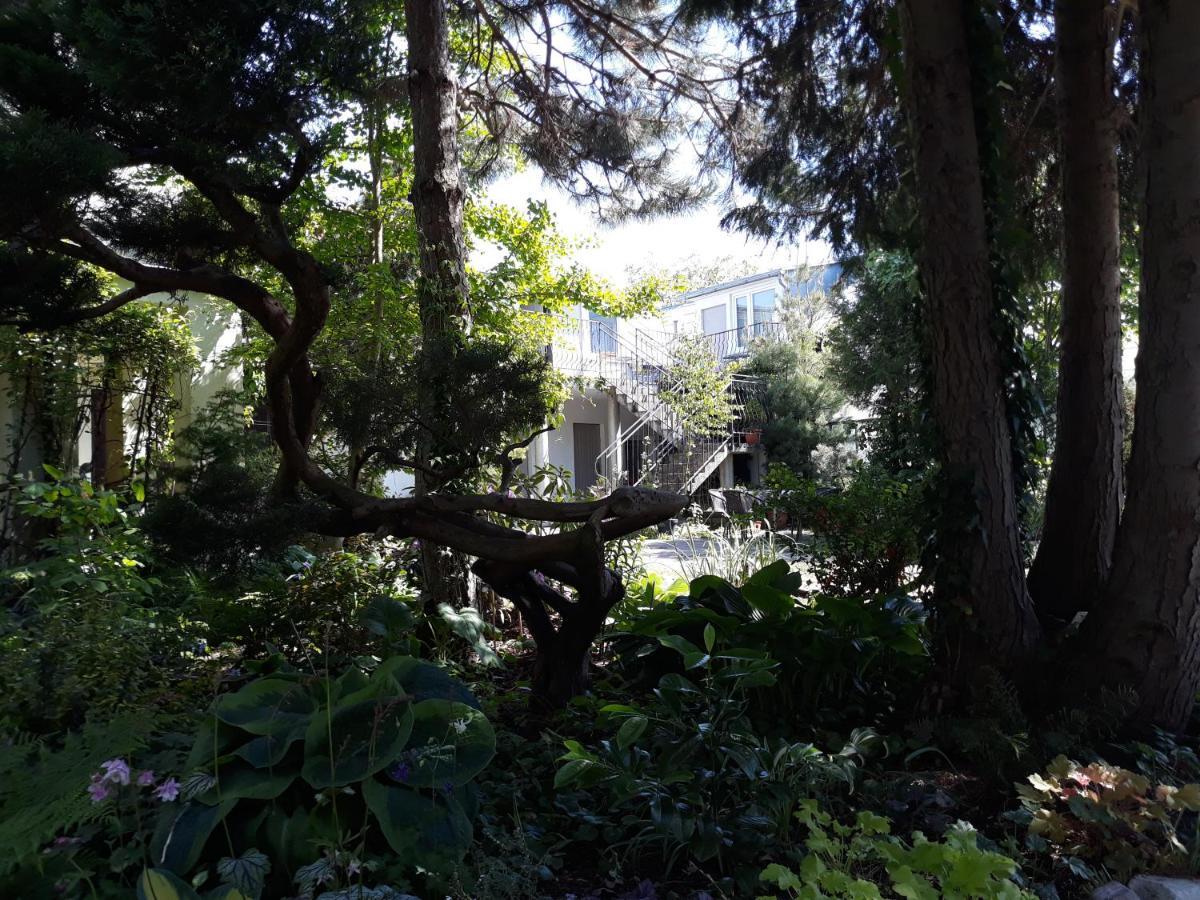 Villa Jaskolka Мендзиздрое Екстериор снимка